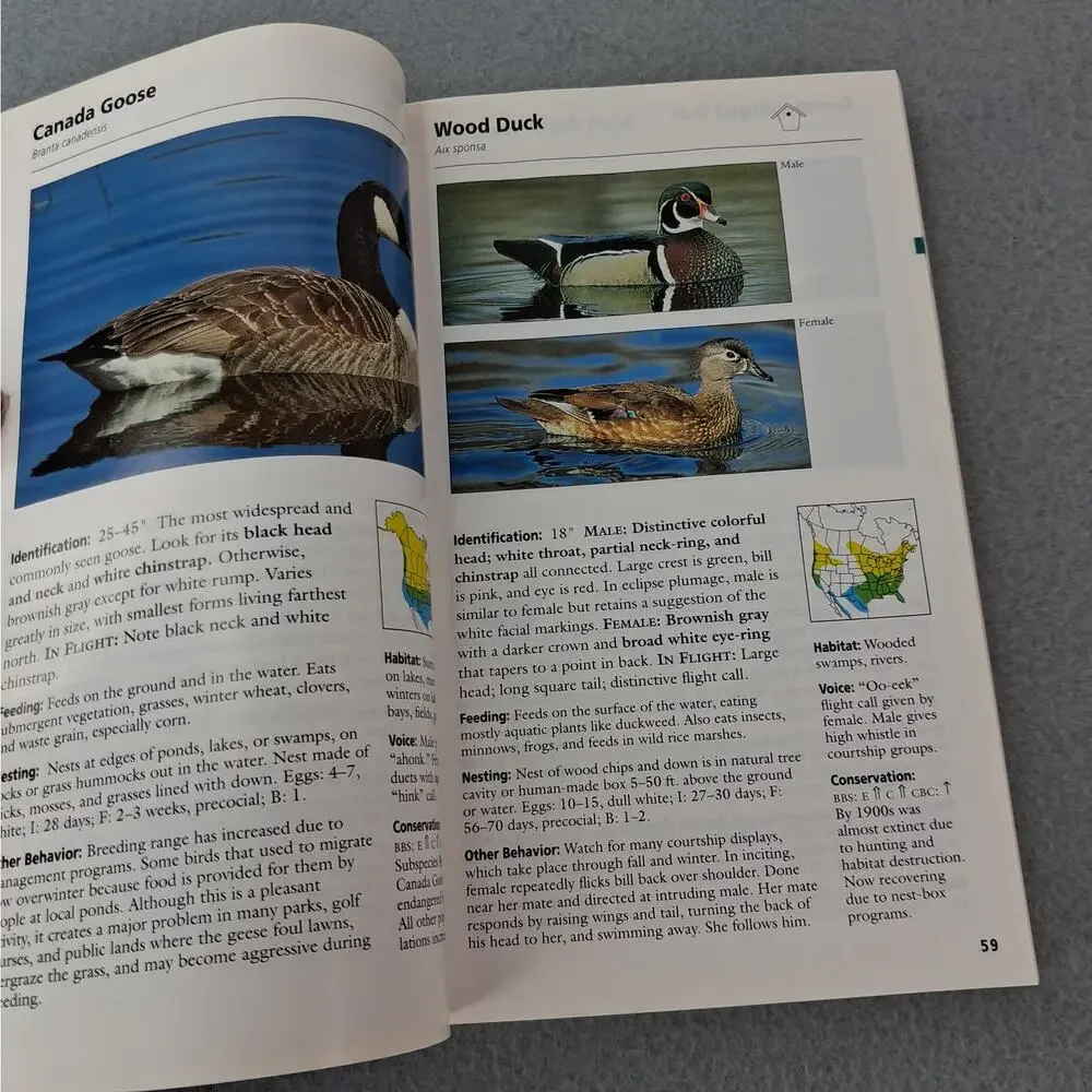 Stokes Field Guide to Birds Eastern Region by Donald & Lillian Stokes 1996